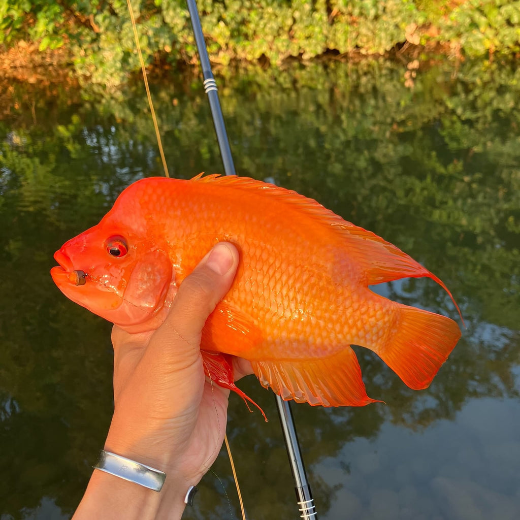 RodZilla 16'/17'6" Double Zoom 8:2 Tenkara Rod