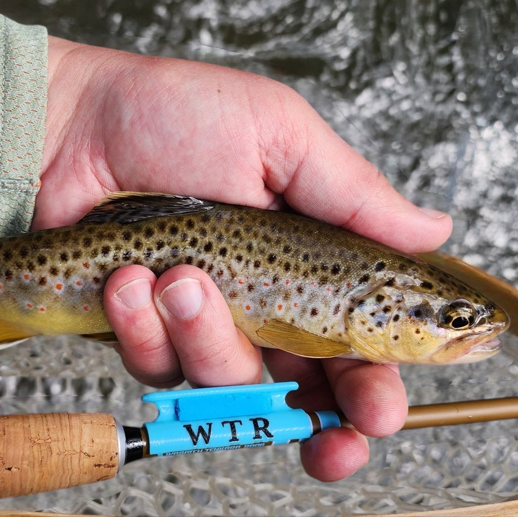 Snub Nose IV Ultra-Compact Tenkara Rod 4'0–5'6 5:5