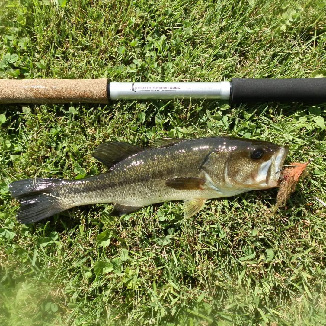 Open Waters