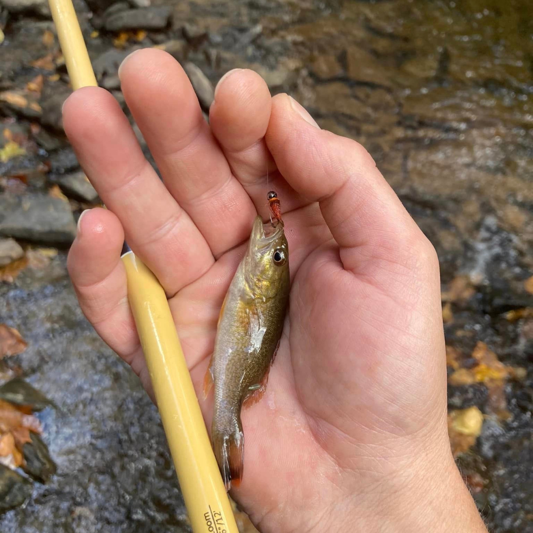 Hankyu Middle Fork Triple Zoom Tenkara Rod 9-12 ft
